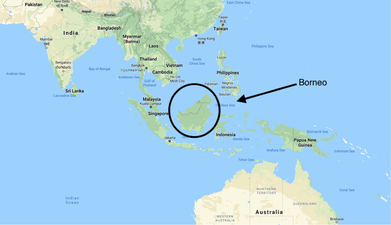 Borneo Map, 49% OFF | www.ghrcema.raisoni.net